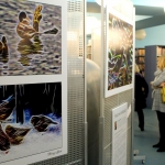 IMG_8353_m IMG_8353_m