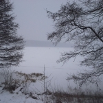 W sin¦ů dal W sin¦ů dal