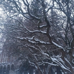 received_247787286122340 received_247787286122340