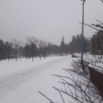 received_813324609021536 received_813324609021536