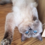 20200216_223625-2123x2896