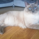 20200216_230042-999x684