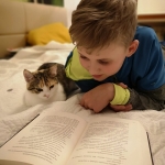 65CDC2D8-06AF-4E7F-9200-9307131CC6FF