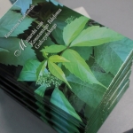 406011504_745789520906286_8492867094680923161_n