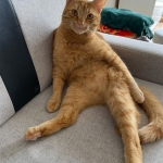 Screenshot_20220207_210517_com.android.gallery3d